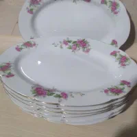 دیس کباب یا مرغ خوری گل قرمزی قدیمی|ظروف سرو و پذیرایی|اصفهان, شهشهان|دیوار