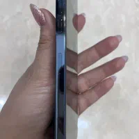 12 pro max