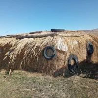 گاوگوسفند|لوازم جانبی حیوانات|سیلوانه, |دیوار