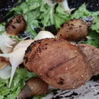 حلزون|خزنده|کاشان, باغ ماجد|دیوار