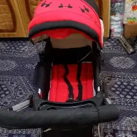 روروک|کالسکه و لوازم جانبی|کازرون, |دیوار