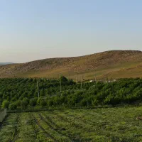 فروش زمین برای تفریح