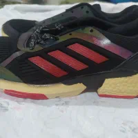 فروش کفش زنونه adidas|کیف، کفش، کمربند|گالیکش, |دیوار