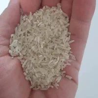 برنج ایرانی سرلاشه|خوردنی و آشامیدنی|سبزوار, قصبه شرقی|دیوار