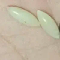 مهره