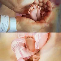 عکاسی تخصصی|خدمات پذیرایی، مراسم|شیراز, بعثت|دیوار