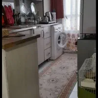 همخونه میخام