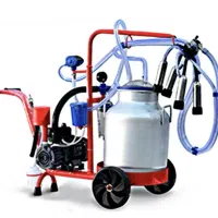 شیر دوش گاو و گوسفند