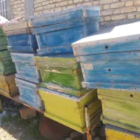 کندوی عسل|لوازم جانبی حیوانات|صحرای باغ, |دیوار