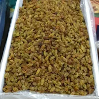 کشمش سبز  درجه یک بار تمیز امسالی کارتن ۵ کیلویی|خوردنی و آشامیدنی|اصفهان, لنبان|دیوار