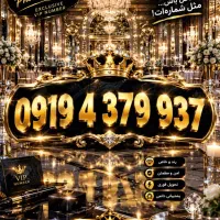 37 99 437 0919