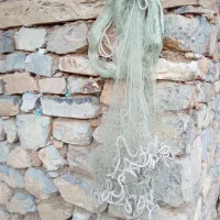 تور ماهیگیری