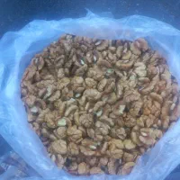 مغز گردوی زردنادیلو.