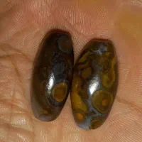 مهره سلطانی جفت|جواهرات|اهواز, منبع اب|دیوار