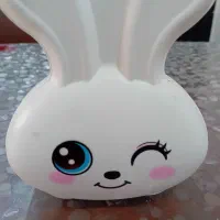 قلک خزگوشی قفل دار