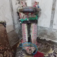 شتر|کلکسیون و سرگرمی|میناب, |دیوار