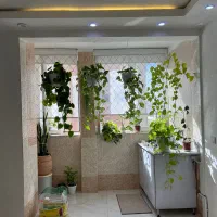 شهرک کوثرنوسازفول موردفروش بامبالغ مختلف موجود|فروش آپارتمان|شاهرود, |دیوار