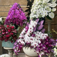 کارگر ساده|استخدام خدمات فروشگاه و رستوران|تهران, کامرانیه|دیوار