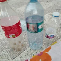 هر تعدادی که بخواید بطری داریم