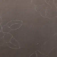 پادری|پادری|اردبیل, |دیوار