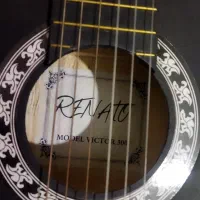 گیتار رناتو