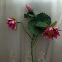 گل مصنوعی|گل مصنوعی|زنجان, |دیوار