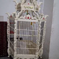 قفس پرنده بزرگ