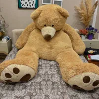 خرس ولنتاین