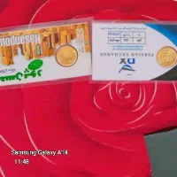 مقداری طلا|جواهرات|ساوه, |دیوار