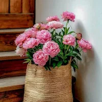 سیم کارت همراه اول دائمی