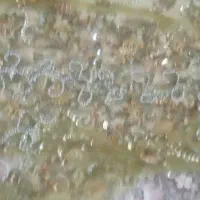 لباس کردی بسیارزیباکاملاسنگ شده