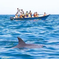 گشت جزیره قشم