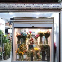 گل فروشی|گل و گیاه طبیعی|گرمسار, |دیوار