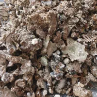 کود کبوتر|حیوانات مزرعه|کوهسار (البرز), |دیوار