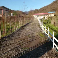 ویلا باغ|اجارهٔ کوتاه‌مدت ویلا و باغ|تالش, جوکندان|دیوار