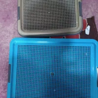 جای دستشویی سگ