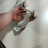 کفش مجلسی کفش عروس برشکا|کیف، کفش، کمربند|رشت, گلسار|دیوار