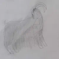 ۳عدد دوبر ترکی