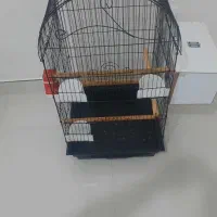 قفس عروس هلندی وسایر پرندگان