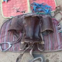 زین اسب سواری.کله گیر.لقام یادهنی.زین بهاره.عرقگیر|اسب و تجهیزات اسب‌سواری|صحنه, |دیوار