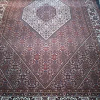فرش دستباف ۶متری|فرش|زنجان, |دیوار