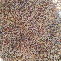 گرده گل