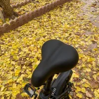 دوچرخه برقی آمریکایی جتسون|دوچرخه، اسکیت، اسکوتر|کرج, مهرویلا شمالی|دیوار