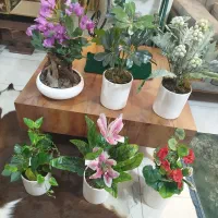 ۱۲ عدد درختچه مصنوعی نو