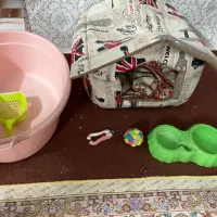 لوازم گربه یا سگ