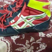 کفش کشتی سایز ۴۱