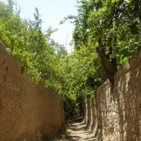 اجاره-باغ-محدوده-محلات-ب-کشاورز