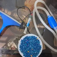 آکواریوم|ماهی|بروجن, |دیوار