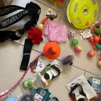 لوازم حیوانات پت شاپ