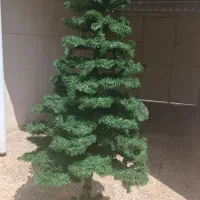 درخت کریسمس